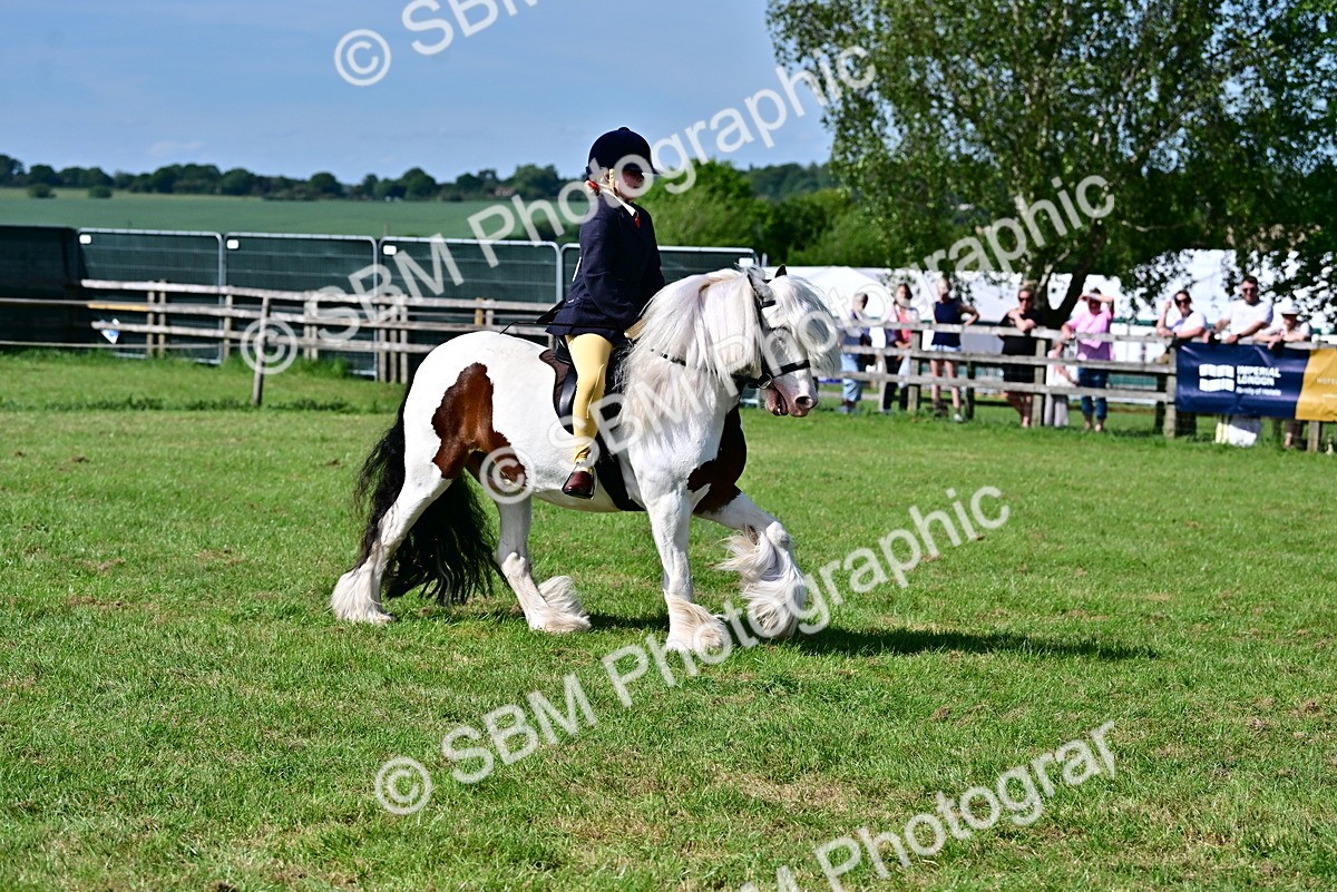 SBM_09413 - Class 63-65 - Traditional Gypsy Cobs In Hand & Ridden
