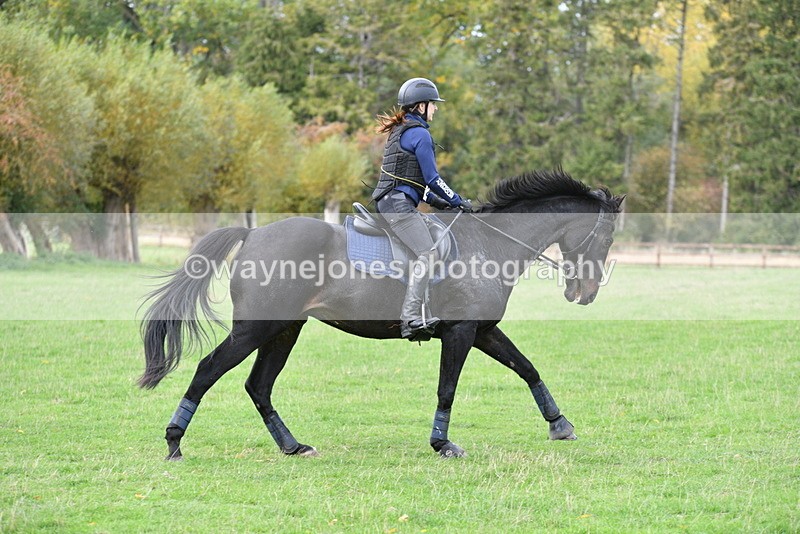 WJ5_0955 - Time 14:29 to 15:31