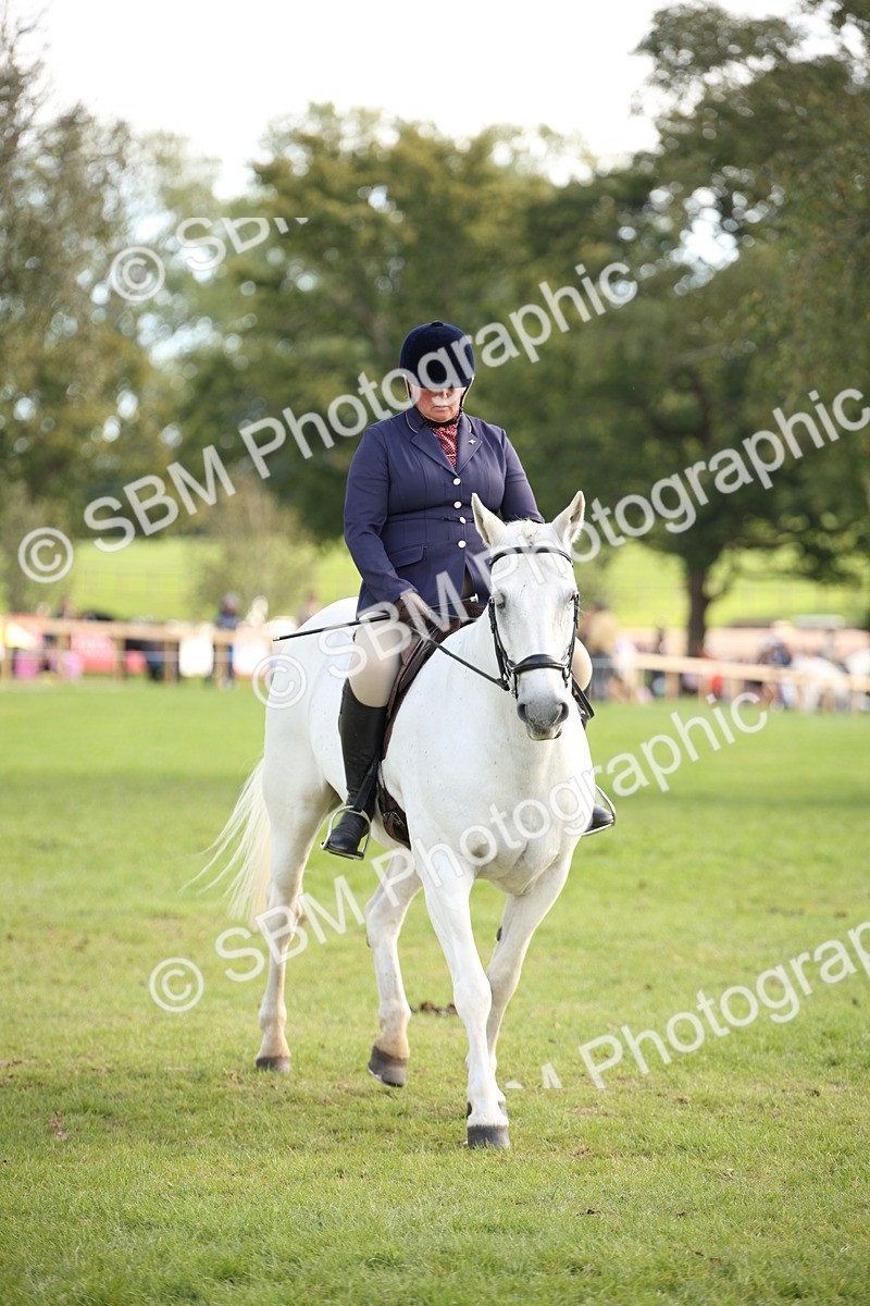 SBM_50208 - S26 - Young Veteran - Ridden