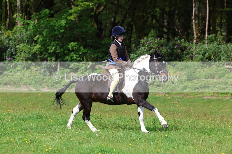 3E7A2714 - Working Hunter Championship