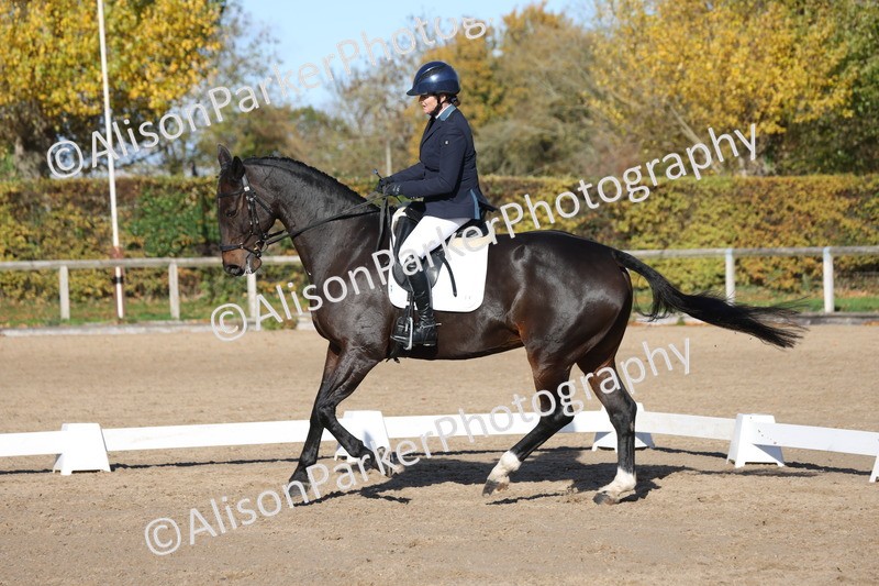 20251102-0994 - Class 5 - Elementary 5