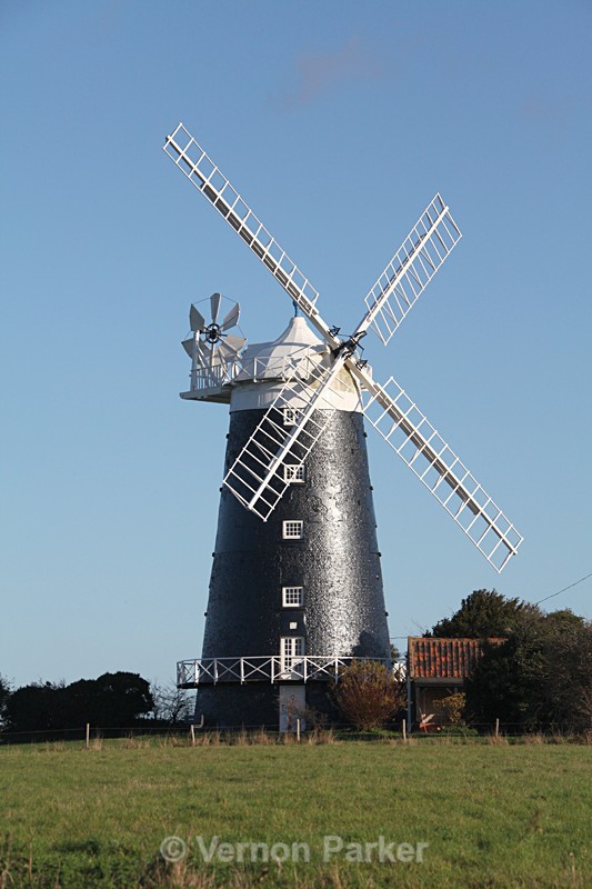 Burnham Ovary - Norfolk