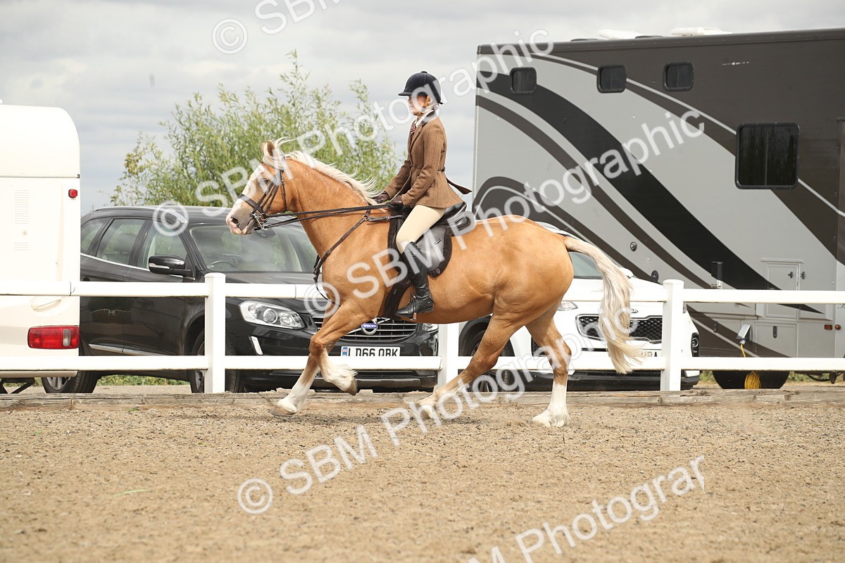 SBM_17667 - Class 508a - Working Veteran 70cm (15-19)