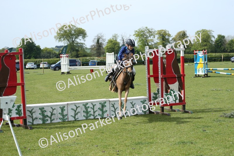 20260426-1739 - Class 14 - Novice 60cm