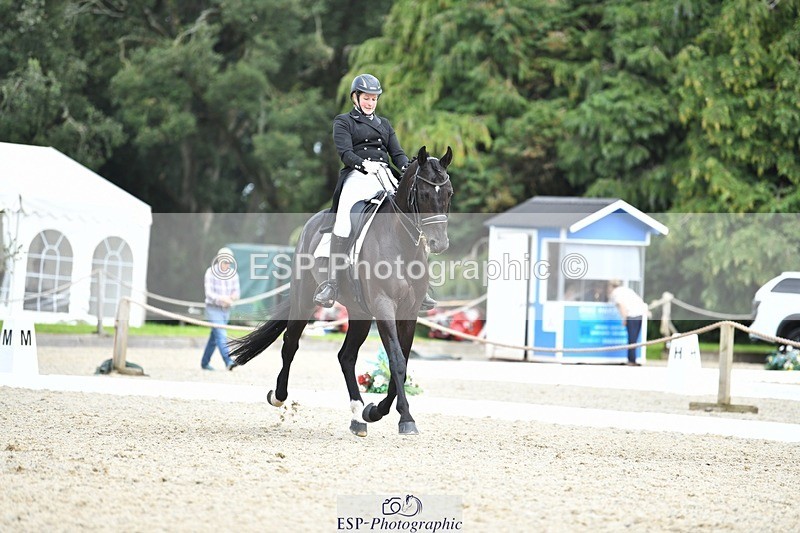 230812-135911-04560 - Cls 7 FEI PSG Bronze