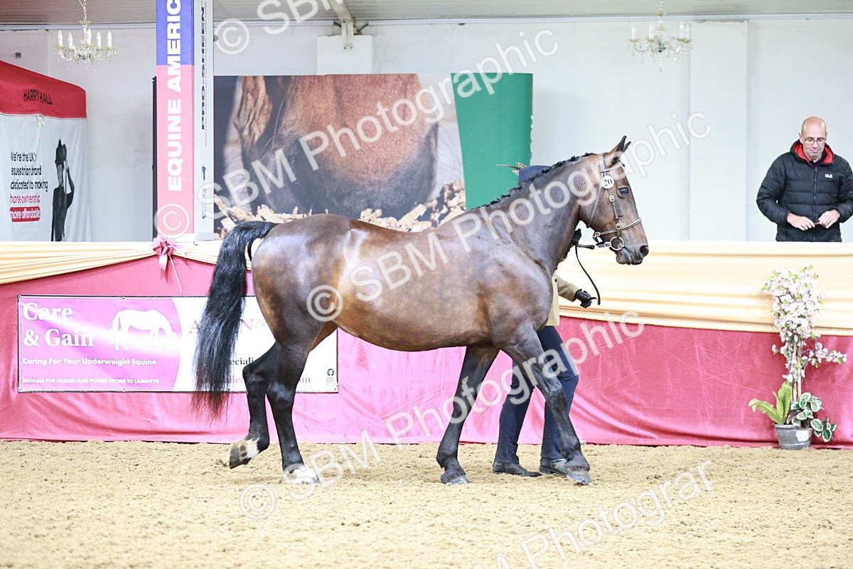 SBM_00867 - Class 2A - Area IH Veteran