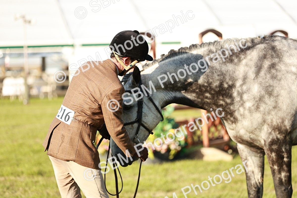 SBM_20522 - Class 117-119 - Sport Horse Working Hunter