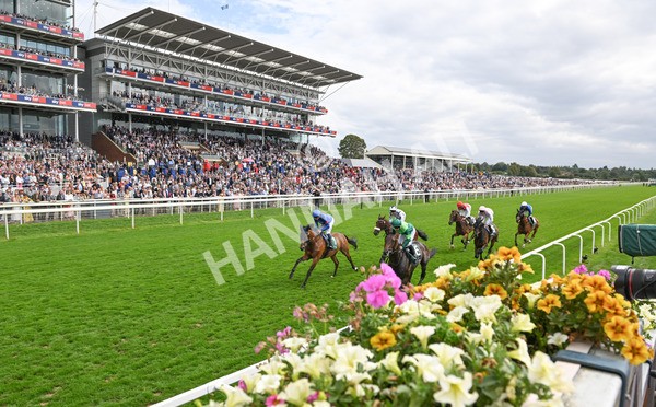 220825-073 Trawlerman - Race 2 2.25pm Weatherbys Lonsdale Cup Stakes