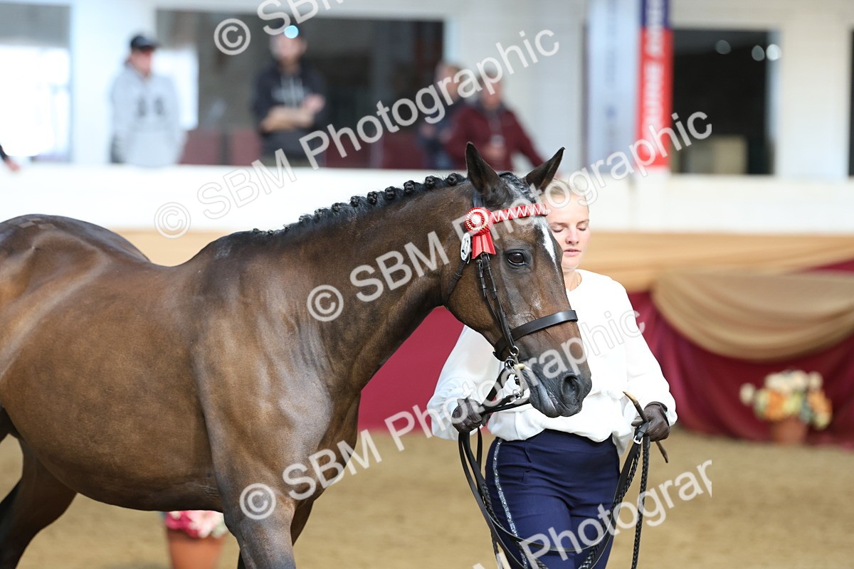 SBM_22488 - Class 902 - Supreme Final - IH Diamond