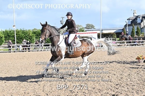 BPP_7571 - CLASS 8 Senior Newcomers/ 1.10m Open