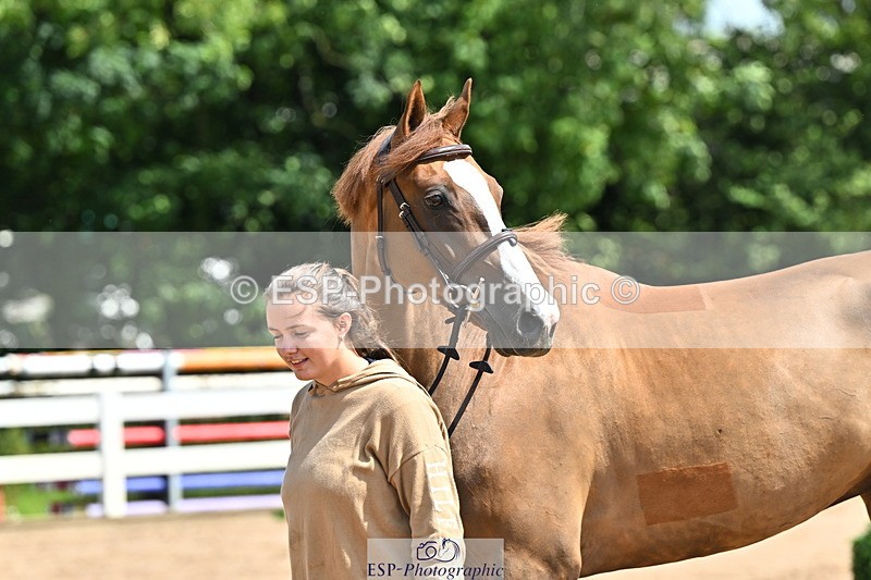 240718A-105240-00993 - Trot Up 11am to 12pm