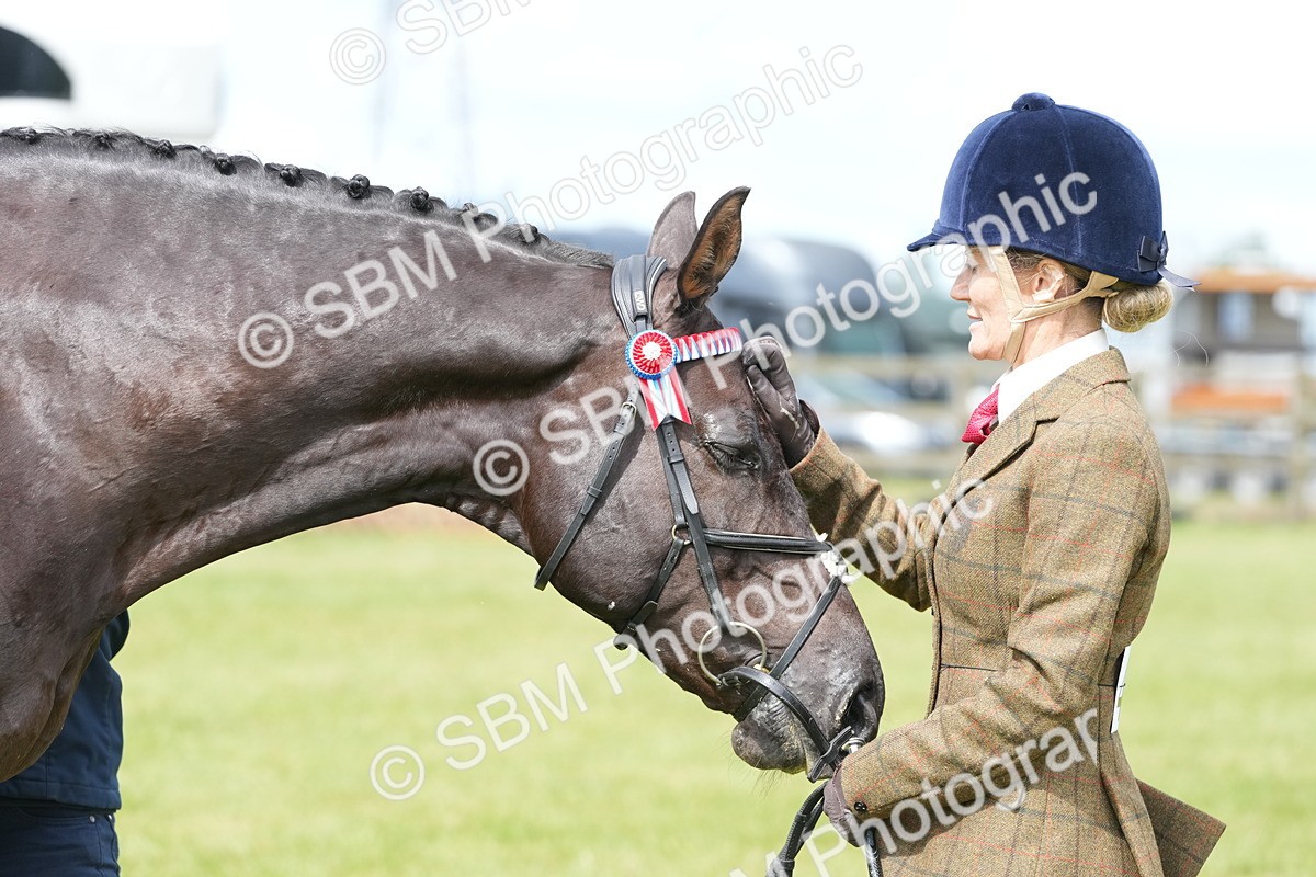 SBM_12941 - Class 99 - RIHS SEIB Working Show Horse