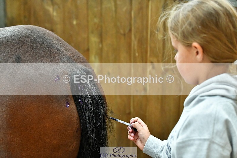 230804A-094920-02204 - Stable Shots