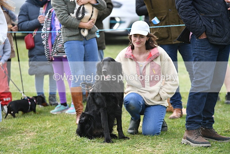 WJ5_0139 - Class 5 Best Veteran / 7 years & over