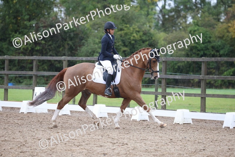 20261021-0638 - Class 5 - Novice 1
