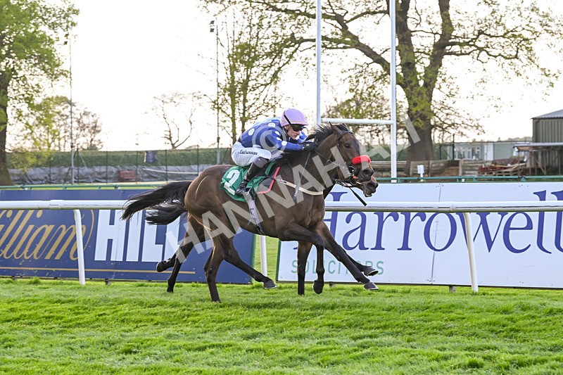 220425-Race 5-Super Hit-9212 - Race 5