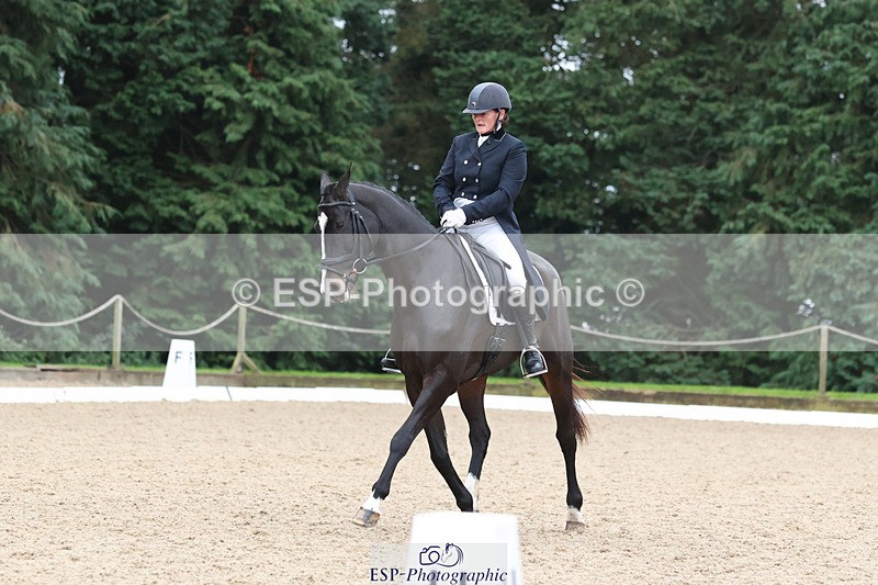 241024-154143-04893 - 235-Sam.Jennings-BILLY.ENERGETIC