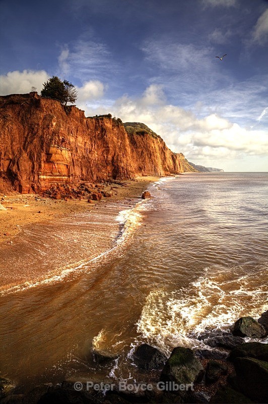 The Jurassic Coast, Sidmouth - The Coast