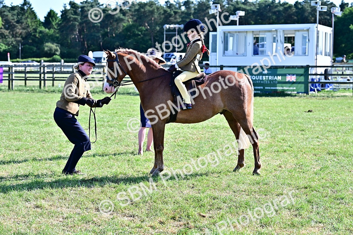 SBM_19810 - Class 103 - 105 - TSR Ridden Amateur of the Year Plaited Ponies