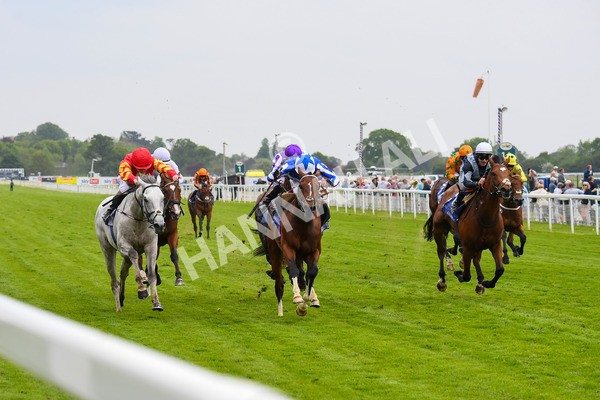 180523-Race 4-The Foxes-0526 - Race 4 3.35pm Al Basti Equiworld Dubai Dante Stakes