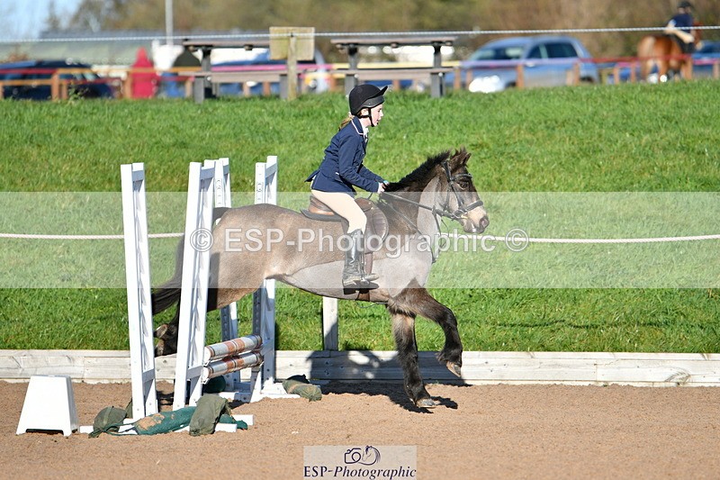 231202A-130317-01390 - Cls 02 50cm