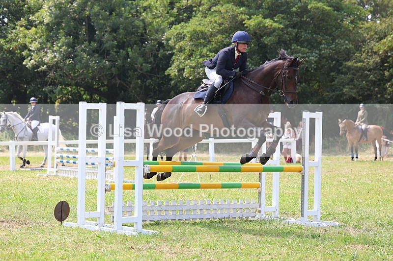 3E7A2968 - Class 7: Senior British Novice/90cm open