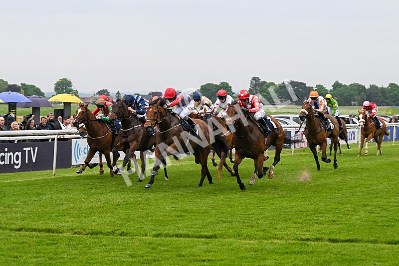 140524-Race 4-Bella Kopella-2047 - Race 4