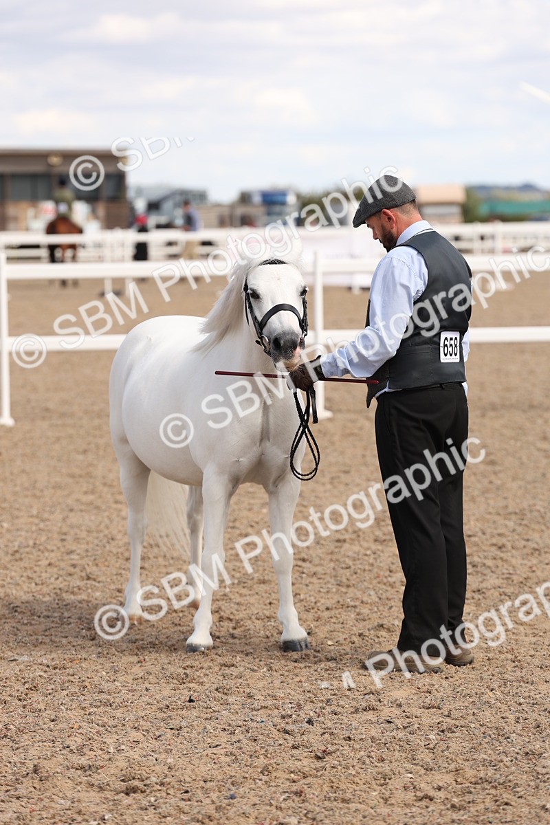 SBM_15060 - Class 209 - IH Veteran Pony