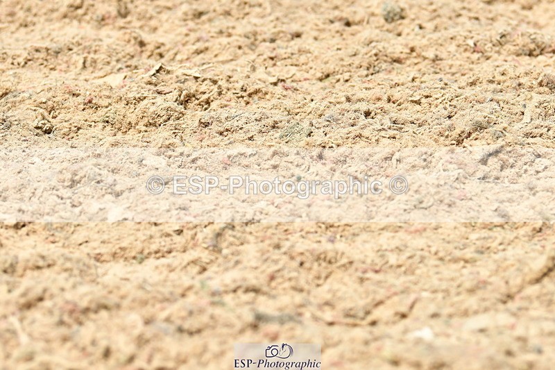 230702A-135917-10142 - Cls 31 Medium 69