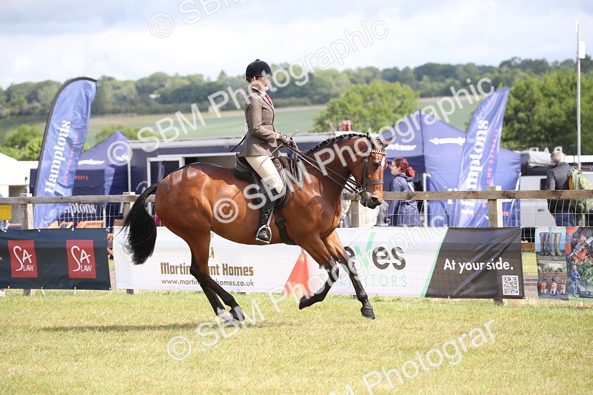 SBM_13209 - Class 95-96 - LIHS BSHA Rising Star Hack Riding Horse