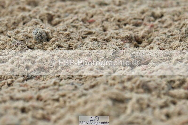 230701A-161407-07355 - Cls 13 Adv Medium 91