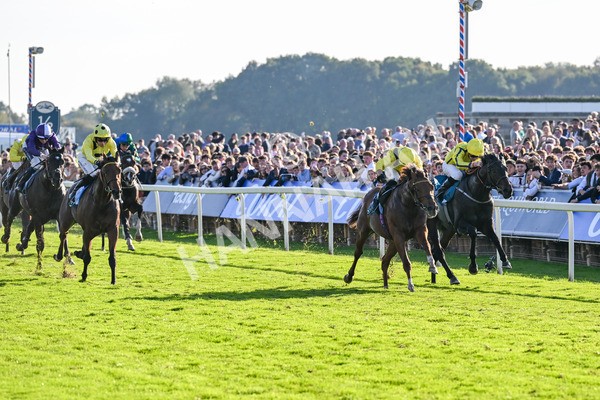 111025-Race 5-Morshdi-8889 - Race 5 Coral 'We're Here For It' EBF Maiden Stakes at York