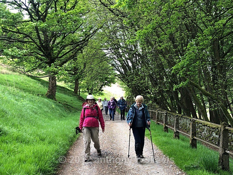029 Making good time on Thrope Lane - The Nidderdale Way Collection