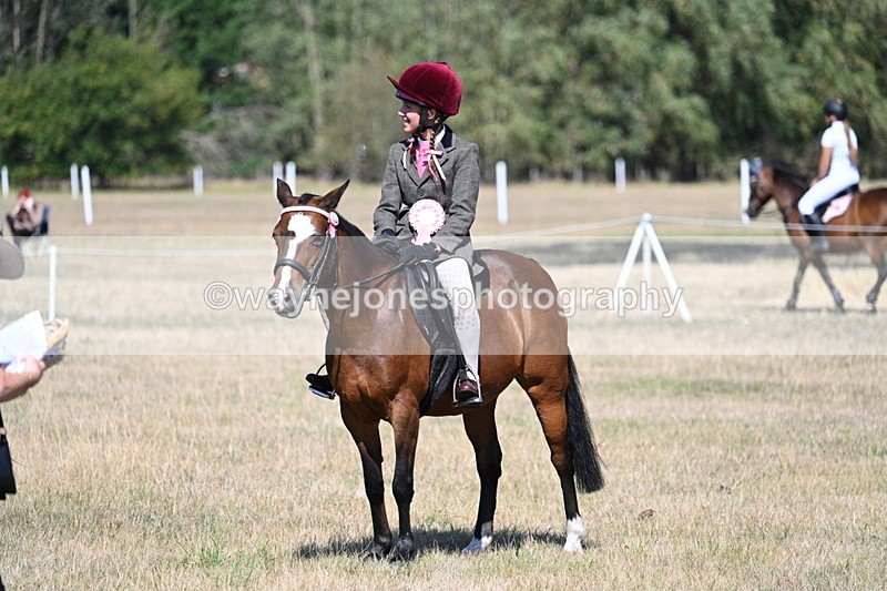 WJ7_4182 - Class 9 Mountain & Moorland Ridden