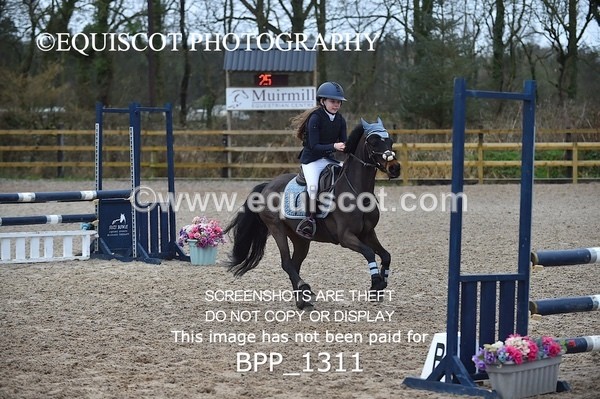 BPP_1311 - CLASS 5 Pony BritiNovice / 0.80m Open