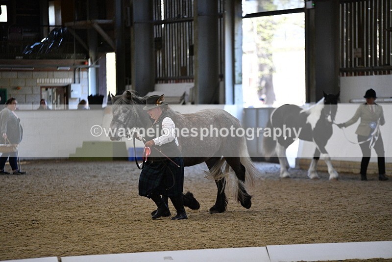 WJ5_3743 - Class 5 In Hand Veterans