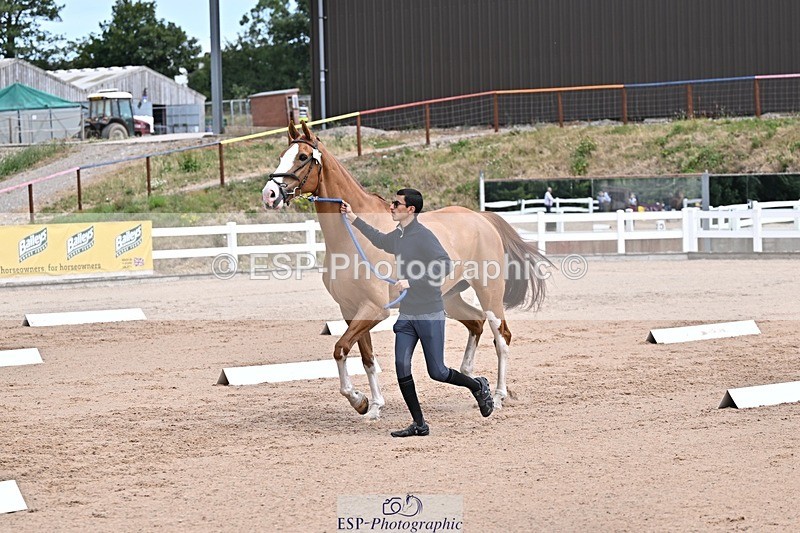 250716-130219-00275 - Trot Up 12.30 to 1.30