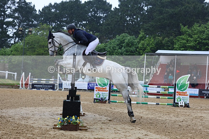 3E7A7254 - Class 7: Senior Newcomers/1.10m open