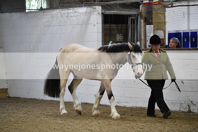 WJ5_3355 - Class 1 Youngstock