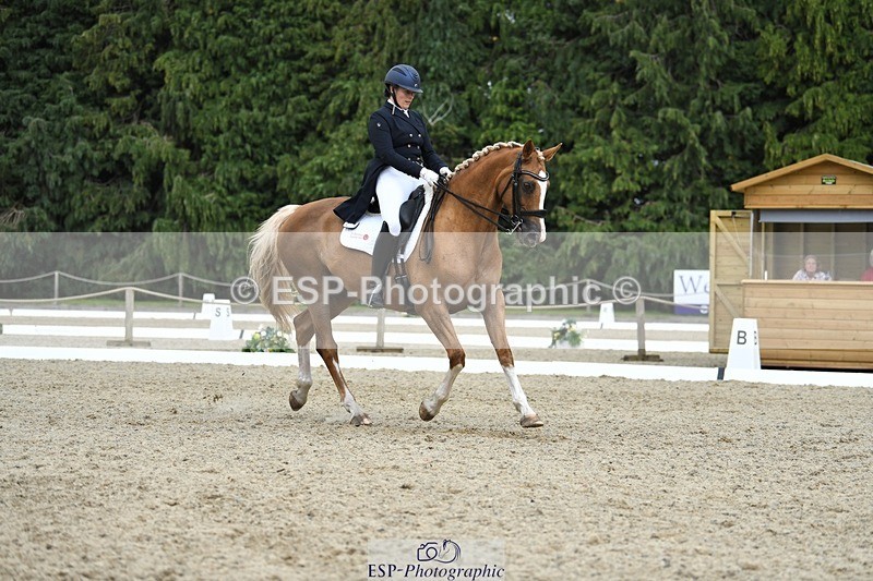 230812-143949-04753 - Cls 7 FEI PSG Bronze