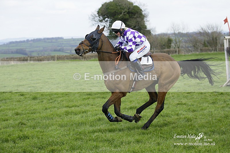 PtP 060322 275 - Blackmore & Sparkford Vale Hunt PtP 06/03/22