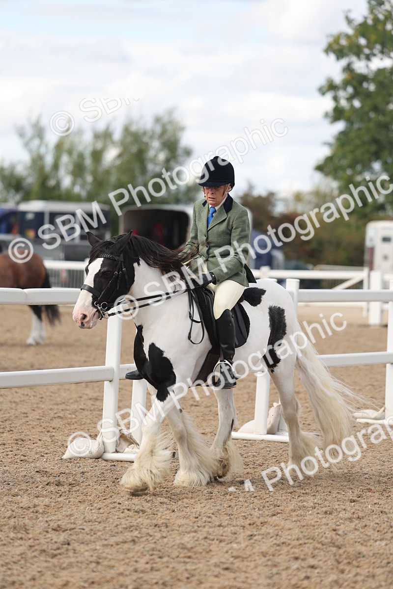 SBM_14665 - Class 307 - Ridden Coloured Pony