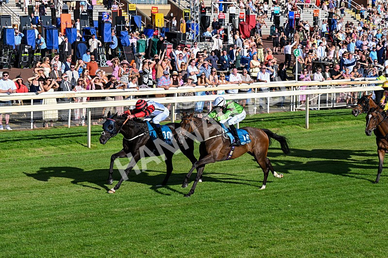 240726-Race 2-Vaguely Royal-0232 - Race 2 18.05pm Elevator Company Handicap