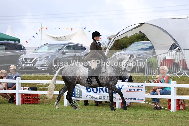 3E7A0531 - Rising Star Ridden Championship