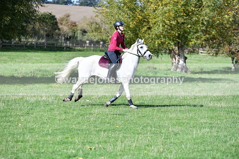 WJ5_8262 - Time 12:02 to 12:32