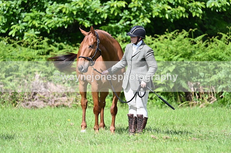 WJ7_1062 - Class 11 Condition & Turnout