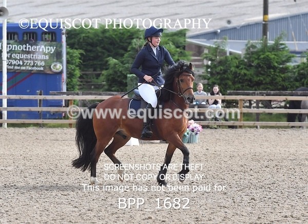 BPP_1682 - DERBY CLASS 4 - 50CM