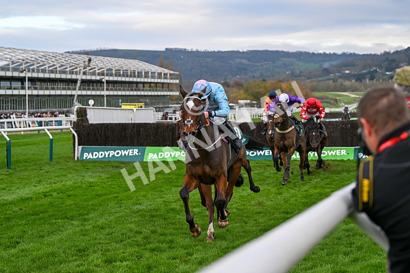 161124-Race 4-Lets Go Champ-0465 - Race 4