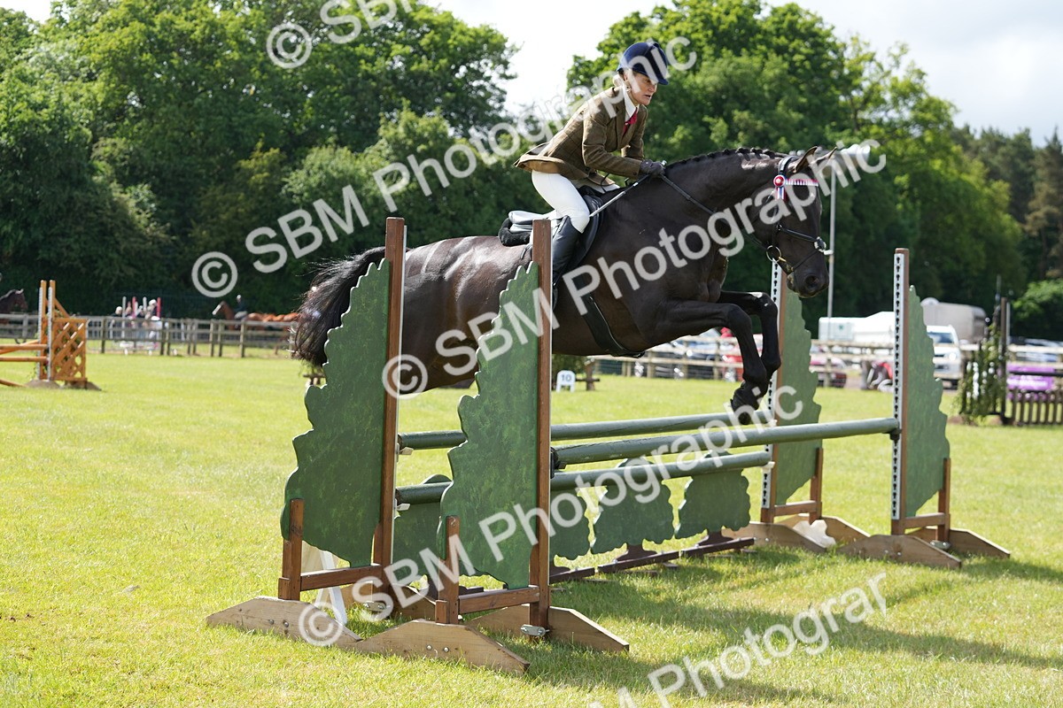 SBM_12890 - Class 99 - RIHS SEIB Working Show Horse