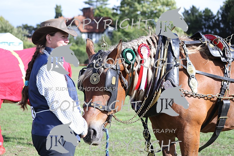 APP_4098 - Class 19 Fancy dress